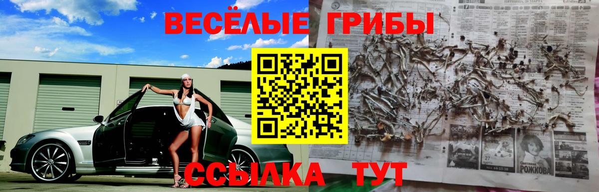 Галлюциногенные грибы ЛСД  Вход с VPN  Ногинск 